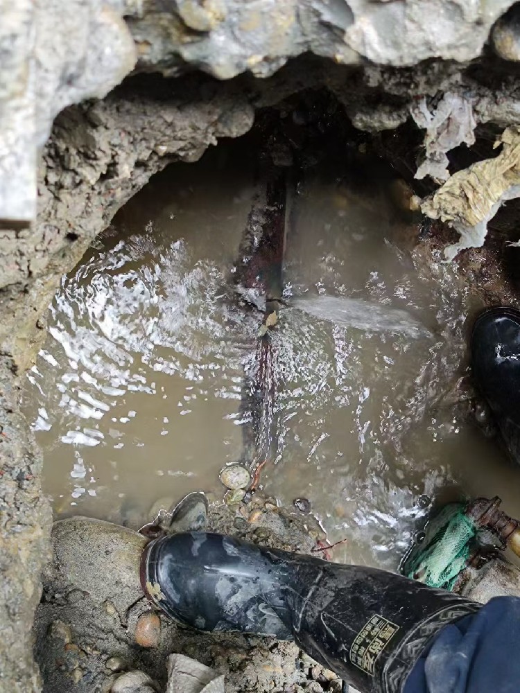 新乡地区绿化水管漏水检测维修